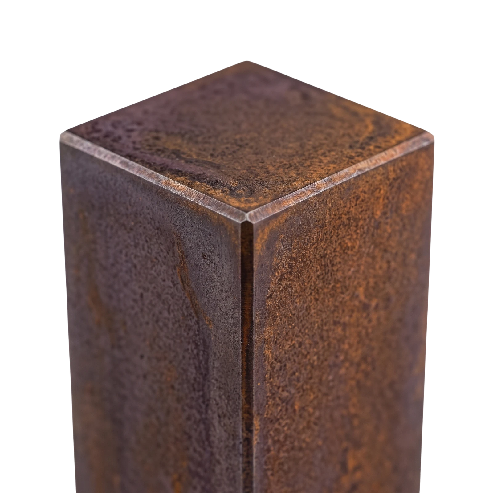 Cortex